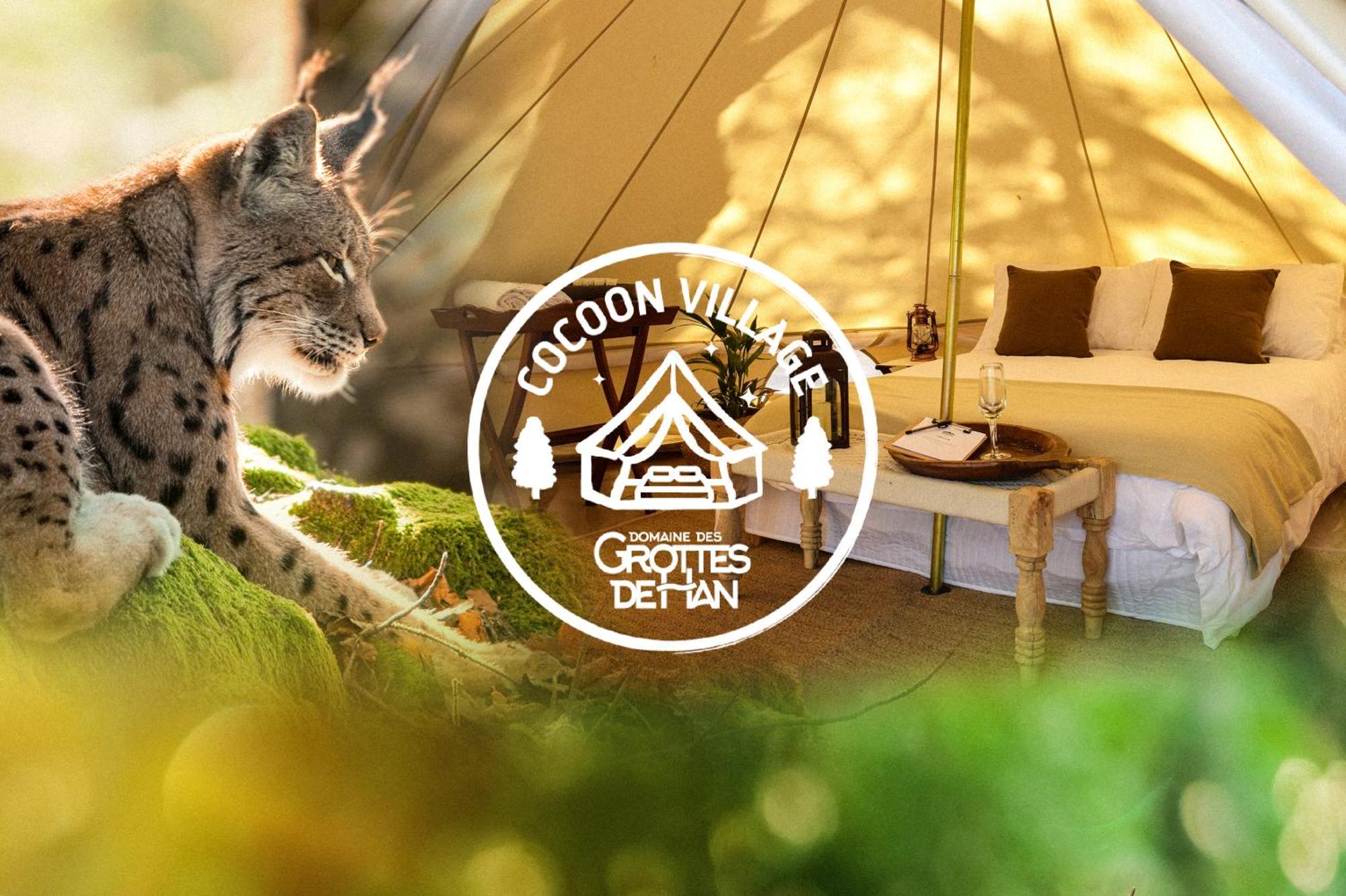 Cocoon Village - Glamping - Domaine Des Grottes De Han 罗什福尔 外观 照片