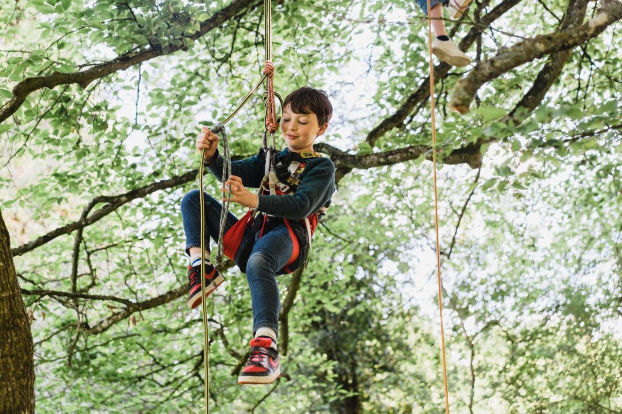 Cocoon Village - Glamping - Domaine Des Grottes De Han 罗什福尔 外观 照片